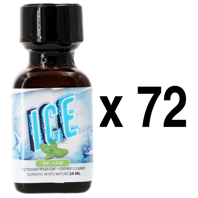 BGP Leather Cleaner ICE Menthe 24ml x72